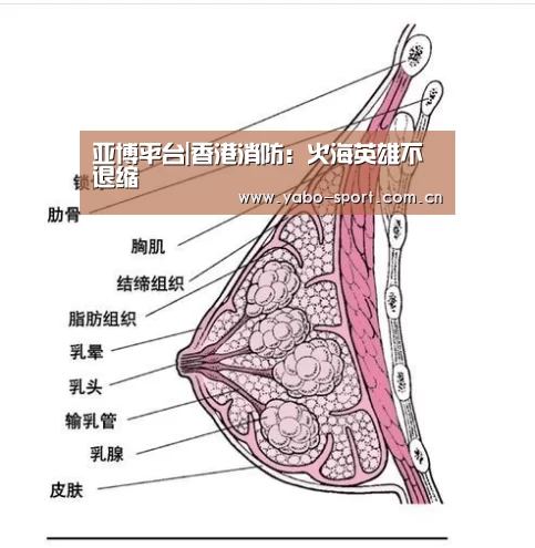 亚博平台|香港消防:火海英雄不退缩(图1) 亚博