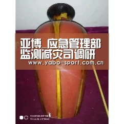 亚博_应急管理部监测减灾司调研浙江自然灾害防治九项重点工程(图1) 亚博