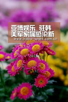 亚博娱乐_驻韩美军家属感染新冠病毒外媒:韩美考虑减少军演(图1) 亚博娱乐