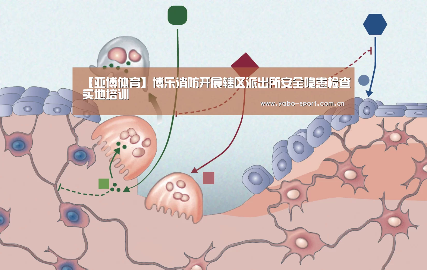 【亚博体育】博乐消防开展辖区派出所安全隐患检查实地培训(图1) 亚博平台