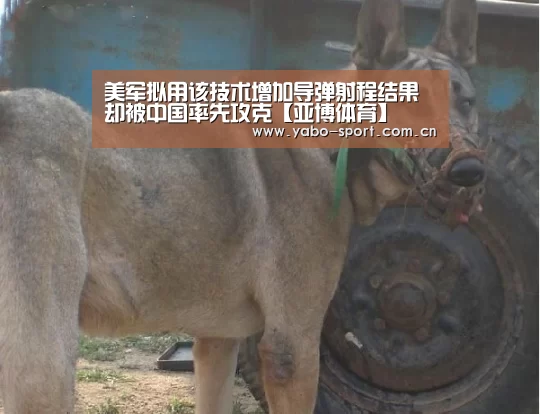 亚博娱乐