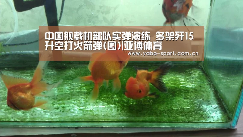 中国舰载机部队实弹演练 多架歼15升空打火箭弹(图)|亚博体育(图1) 亚博体育