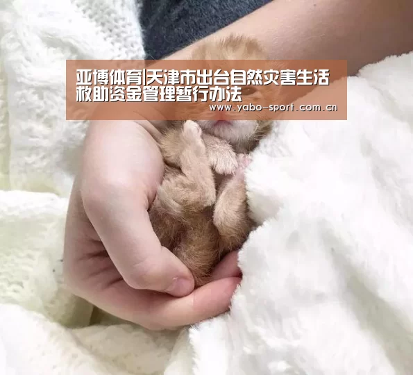 亚博体育|天津市出台自然灾害生活救助资金管理暂行办法(图1) 亚博平台